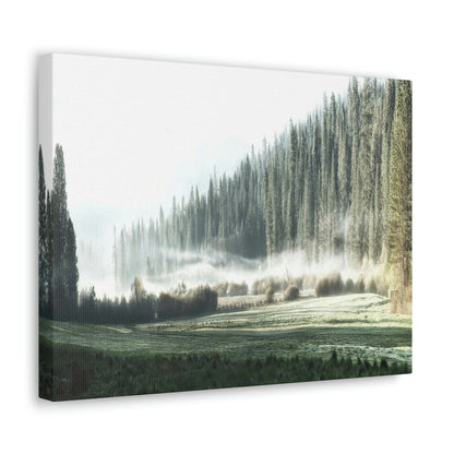 Canvas Gallery Wraps - The US National Parks - Yosemite Park - California - USA NPS - Green Forest Home