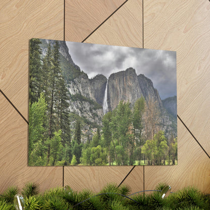 Canvas Gallery Wraps - The US National Parks - Yosemite Park - California - USA NPS - Green Forest Home