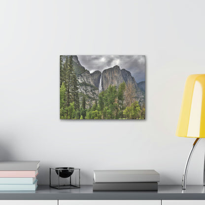 Canvas Gallery Wraps - The US National Parks - Yosemite Park - California - USA NPS - Green Forest Home