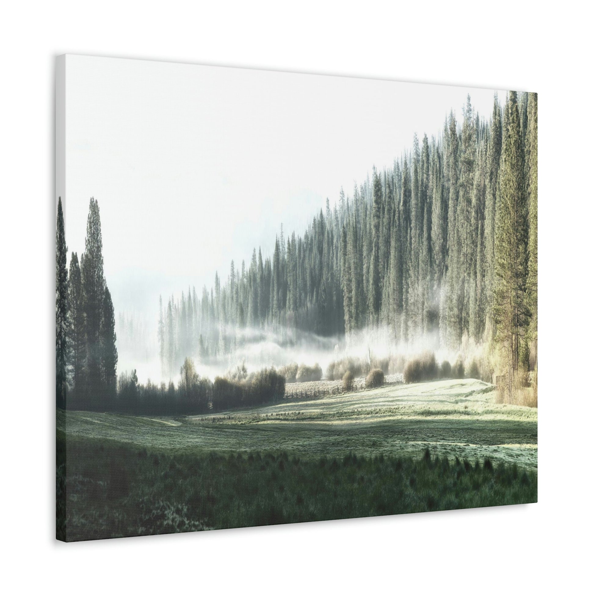 Canvas Gallery Wraps - The US National Parks - Yosemite Park - California - USA NPS - Green Forest Home
