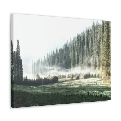 Canvas Gallery Wraps - The US National Parks - Yosemite Park - California - USA NPS - Green Forest Home