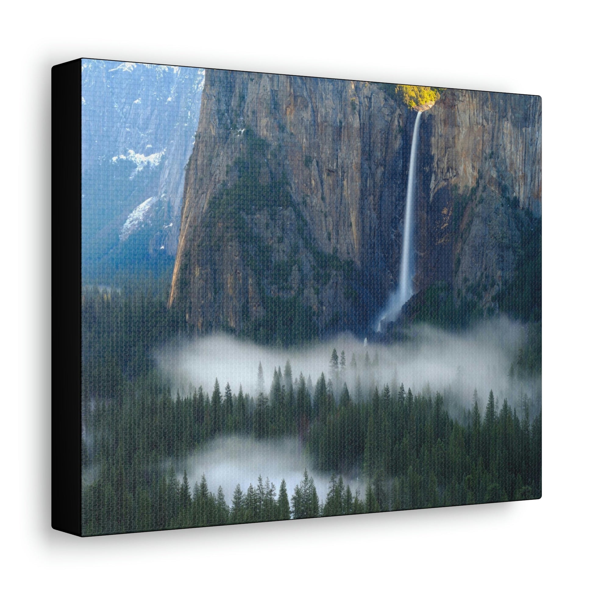 Canvas Gallery Wraps - The US National Parks - Yosemite Park - California - USA NPS - Green Forest Home