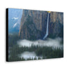 Canvas Gallery Wraps - The US National Parks - Yosemite Park - California - USA NPS - Green Forest Home