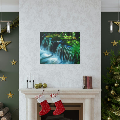 Canvas Gallery Wraps - The US National Parks - Yosemite Park - California - USA NPS - Green Forest Home