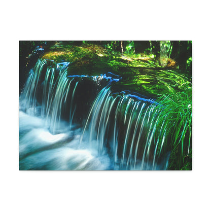 Canvas Gallery Wraps - The US National Parks - Yosemite Park - California - USA NPS - Green Forest Home