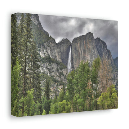 Canvas Gallery Wraps - The US National Parks - Yosemite Park - California - USA NPS - Green Forest Home