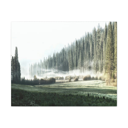 Canvas Gallery Wraps - The US National Parks - Yosemite Park - California - USA NPS - Green Forest Home
