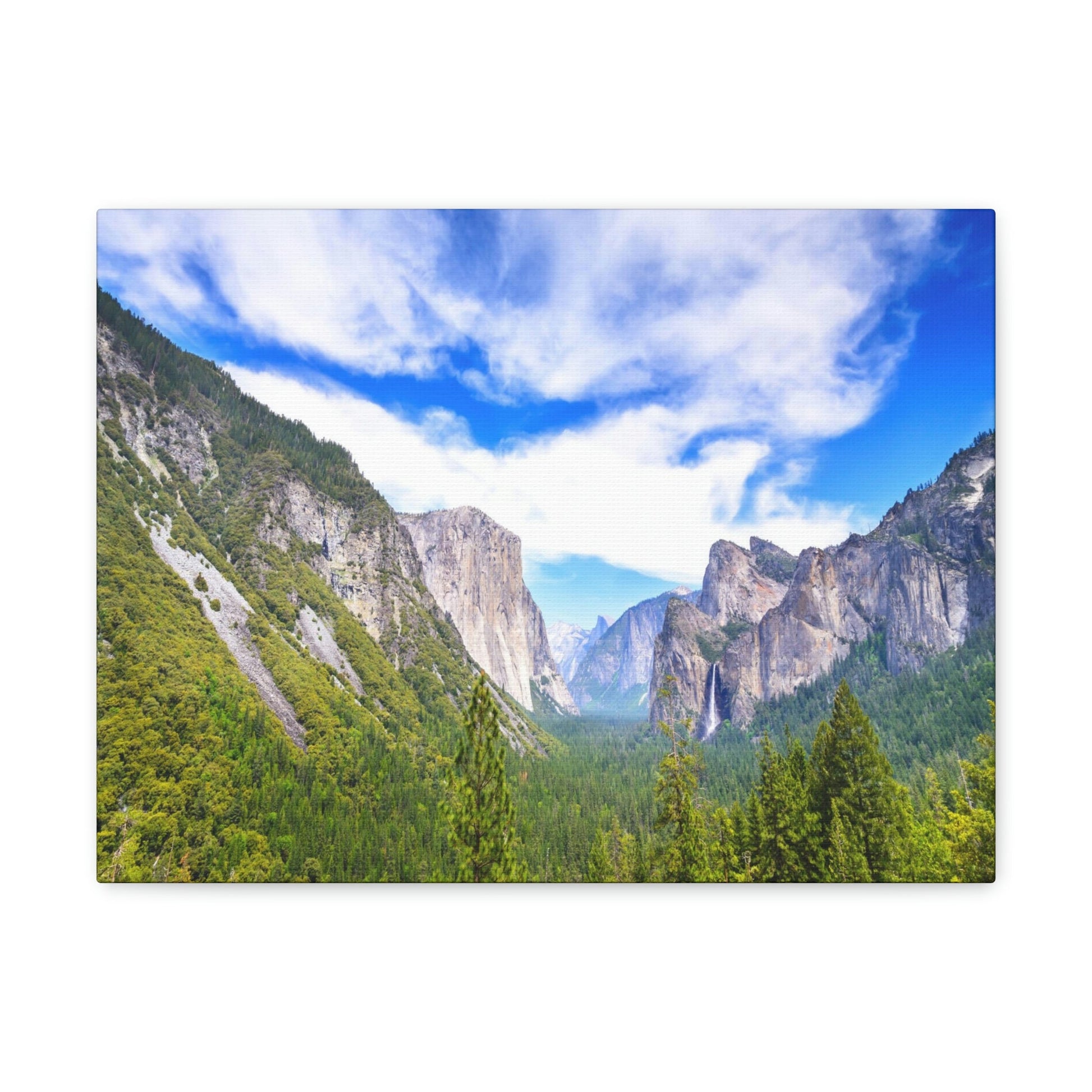 Canvas Gallery Wraps - The US National Parks - Yosemite Park - California - USA NPS - Green Forest Home