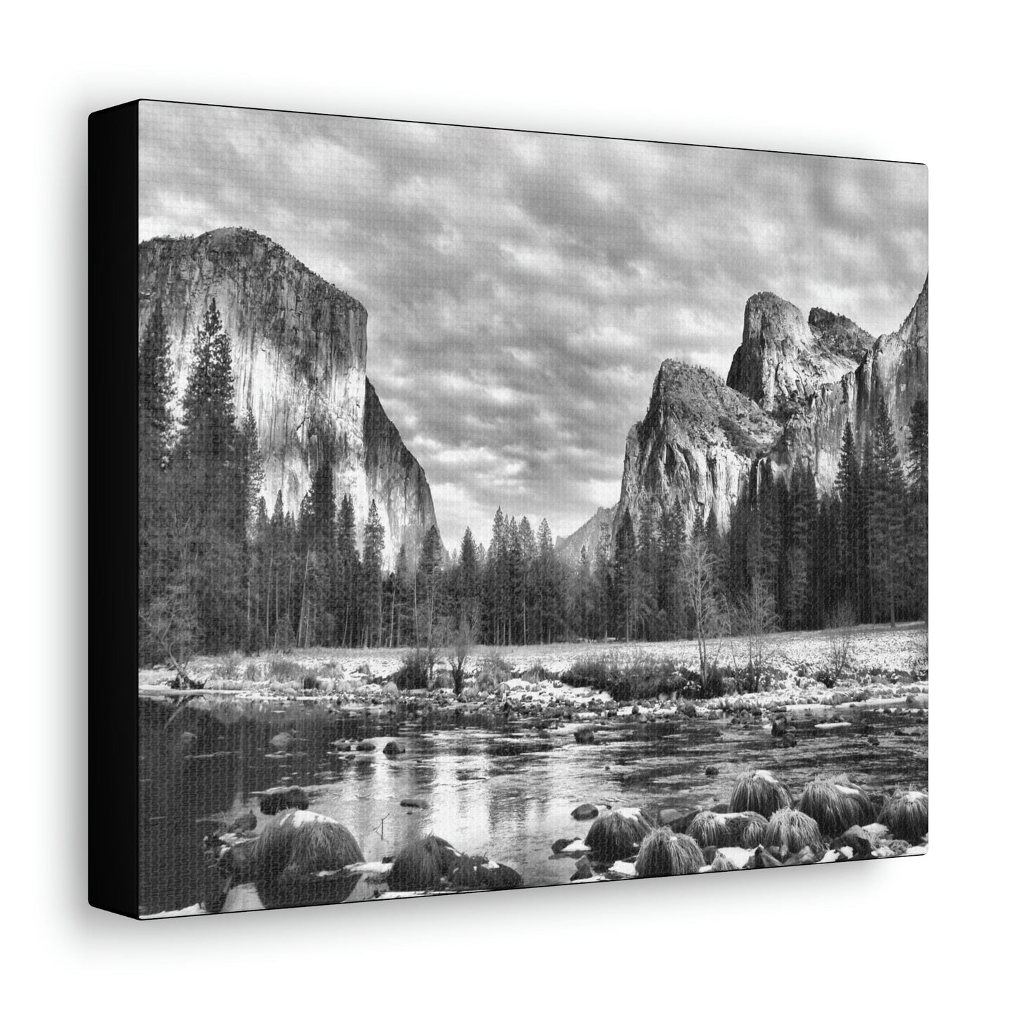 Canvas Gallery Wraps - The US National Parks - Yosemite Park - California - USA NPS - Green Forest Home