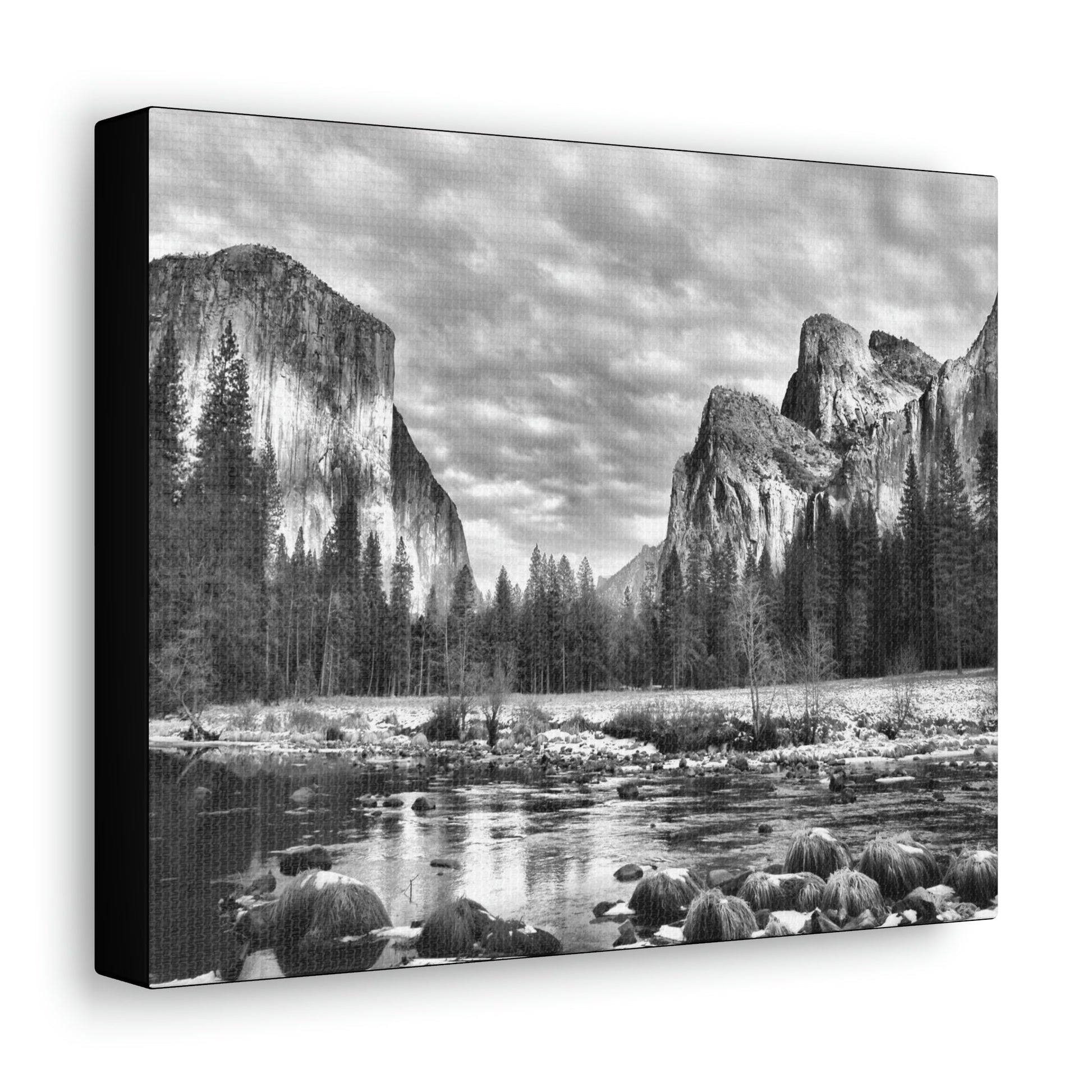 Canvas Gallery Wraps - The US National Parks - Yosemite Park - California - USA NPS - Green Forest Home
