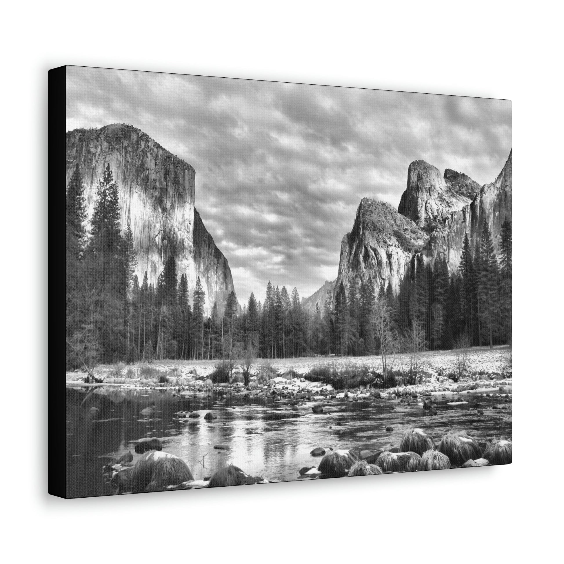 Canvas Gallery Wraps - The US National Parks - Yosemite Park - California - USA NPS - Green Forest Home