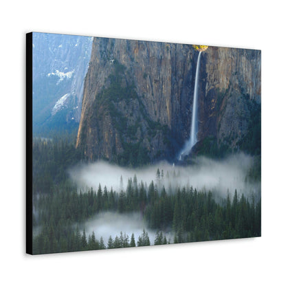 Canvas Gallery Wraps - The US National Parks - Yosemite Park - California - USA NPS - Green Forest Home