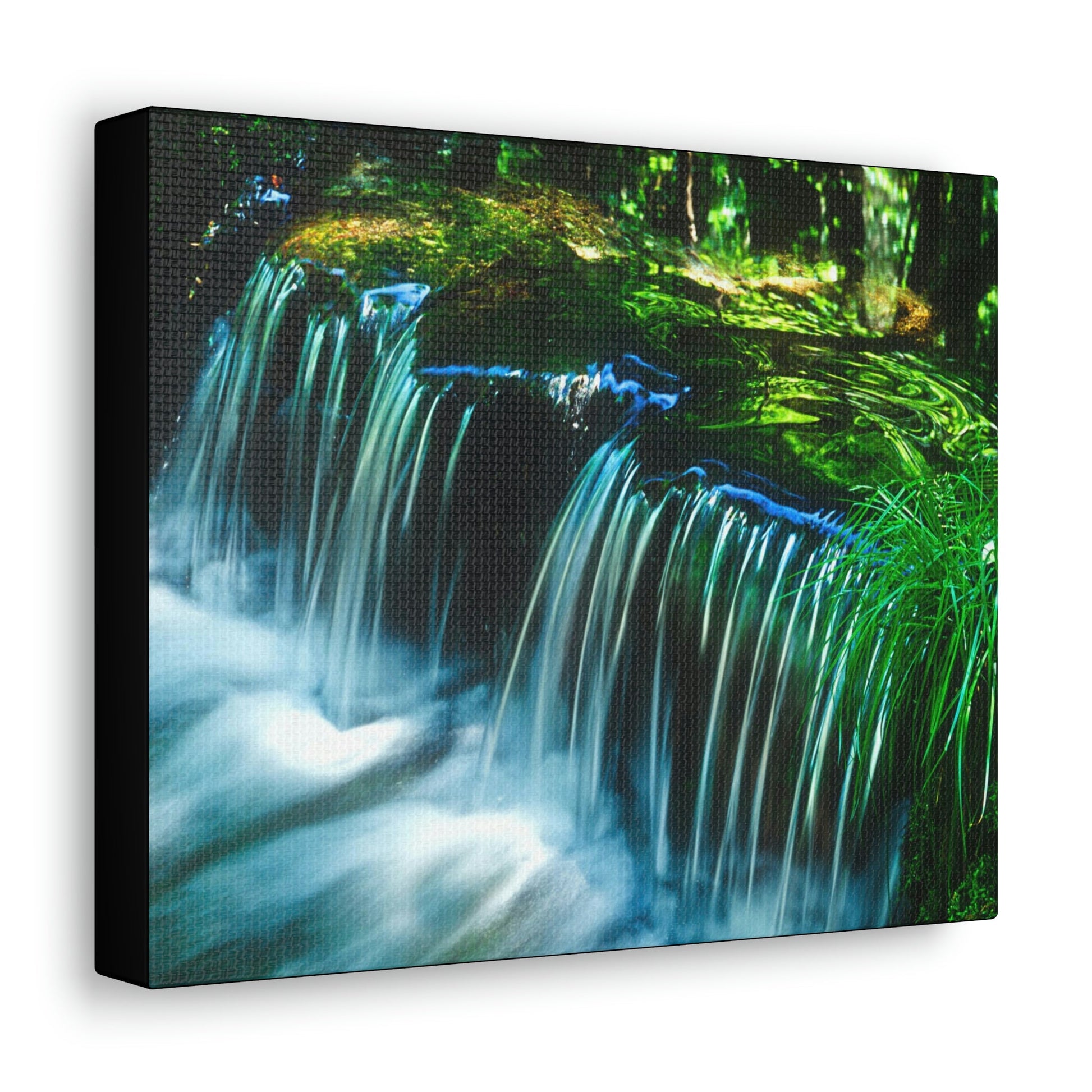 Canvas Gallery Wraps - The US National Parks - Yosemite Park - California - USA NPS - Green Forest Home