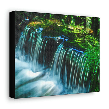 Canvas Gallery Wraps - The US National Parks - Yosemite Park - California - USA NPS - Green Forest Home