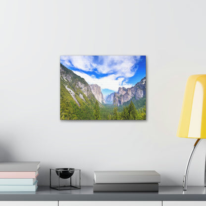 Canvas Gallery Wraps - The US National Parks - Yosemite Park - California - USA NPS - Green Forest Home