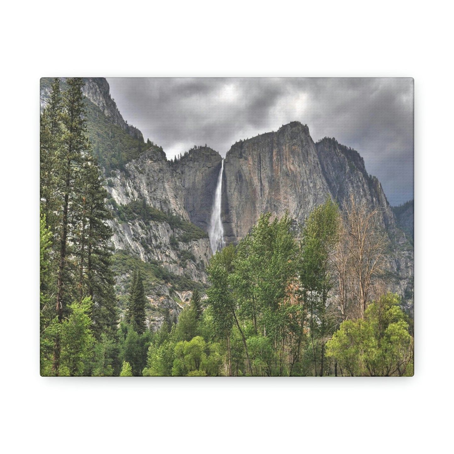 Canvas Gallery Wraps - The US National Parks - Yosemite Park - California - USA NPS - Green Forest Home