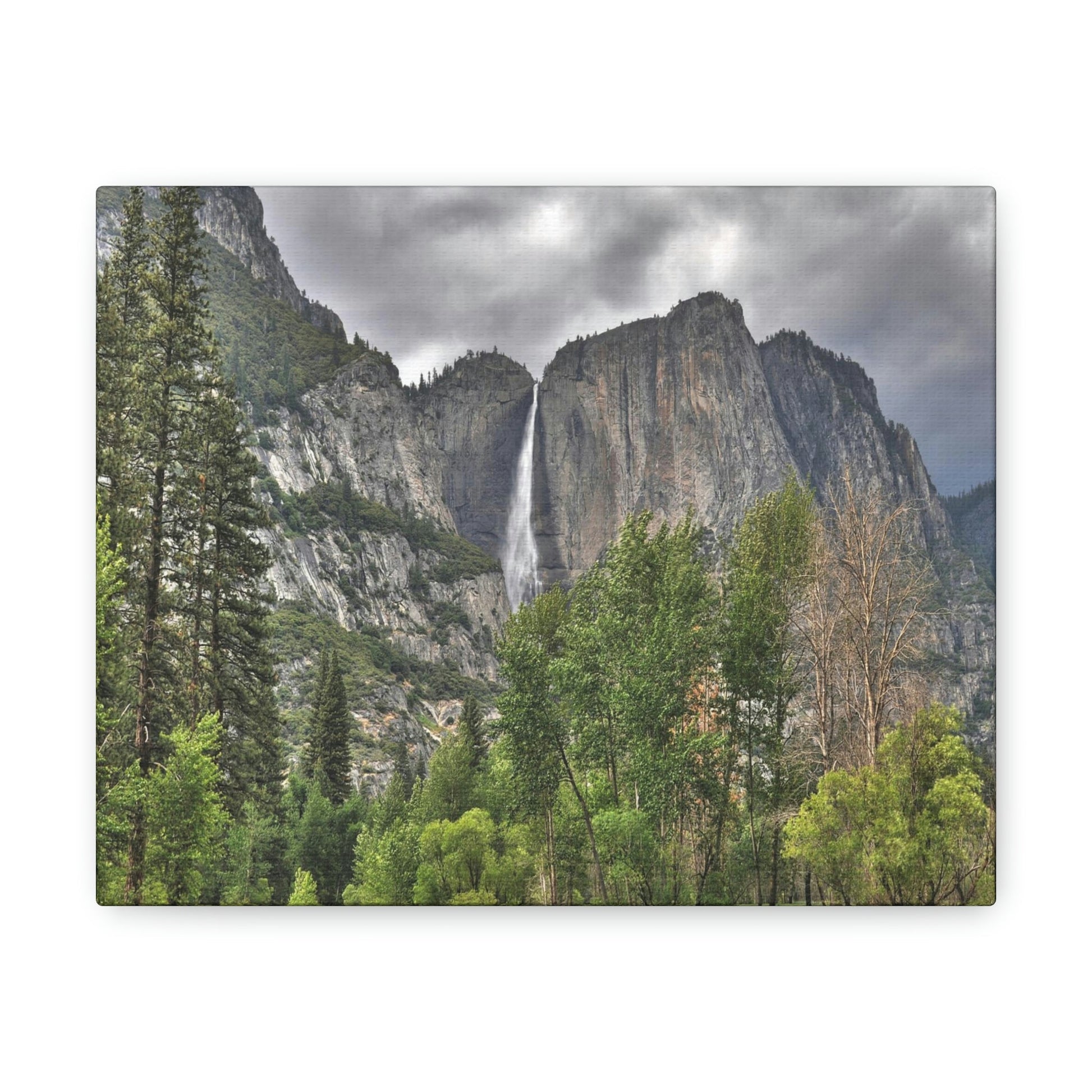 Canvas Gallery Wraps - The US National Parks - Yosemite Park - California - USA NPS - Green Forest Home