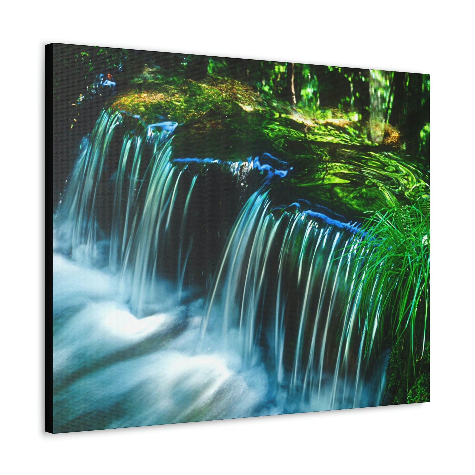 Canvas Gallery Wraps - The US National Parks - Yosemite Park - California - USA NPS - Green Forest Home
