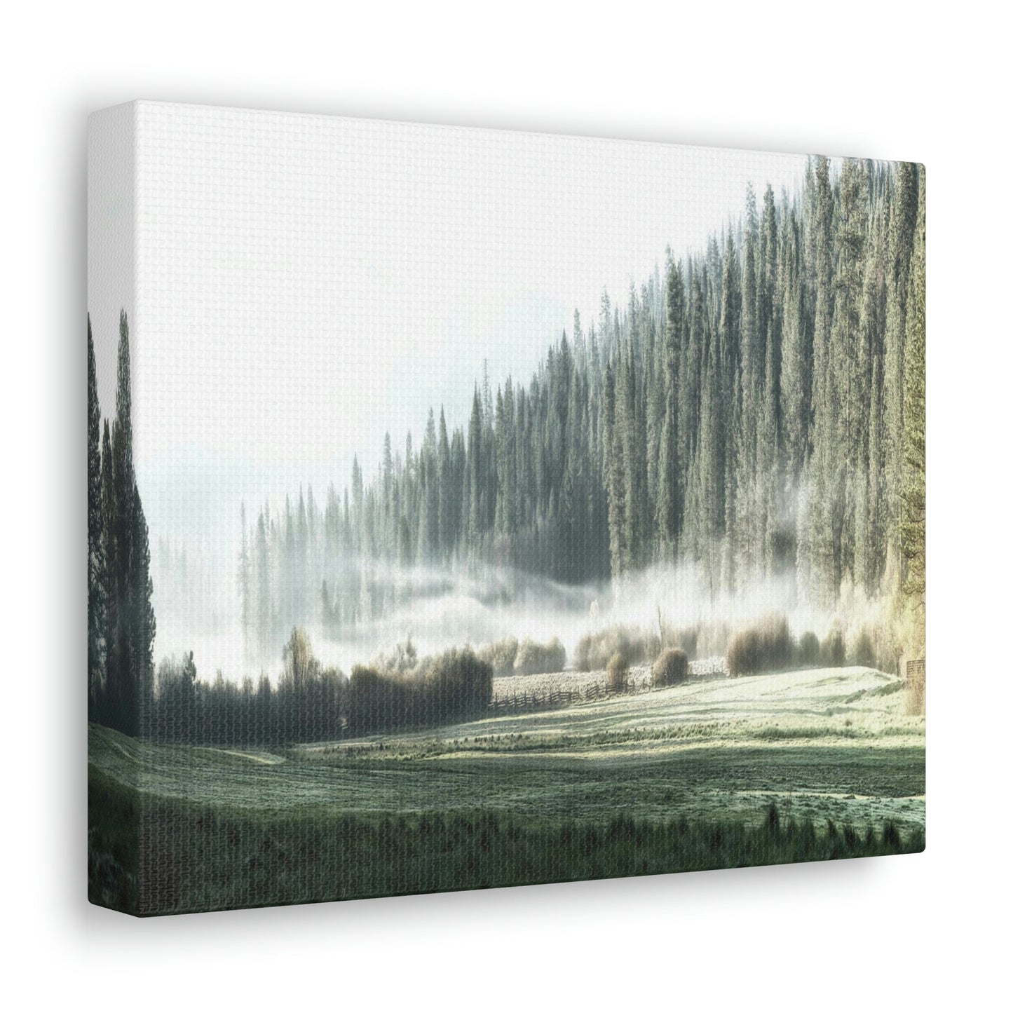 Canvas Gallery Wraps - The US National Parks - Yosemite Park - California - USA NPS - Green Forest Home