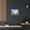 Canvas Gallery Wraps - The US National Parks - Yosemite Park - California - USA NPS - Green Forest Home