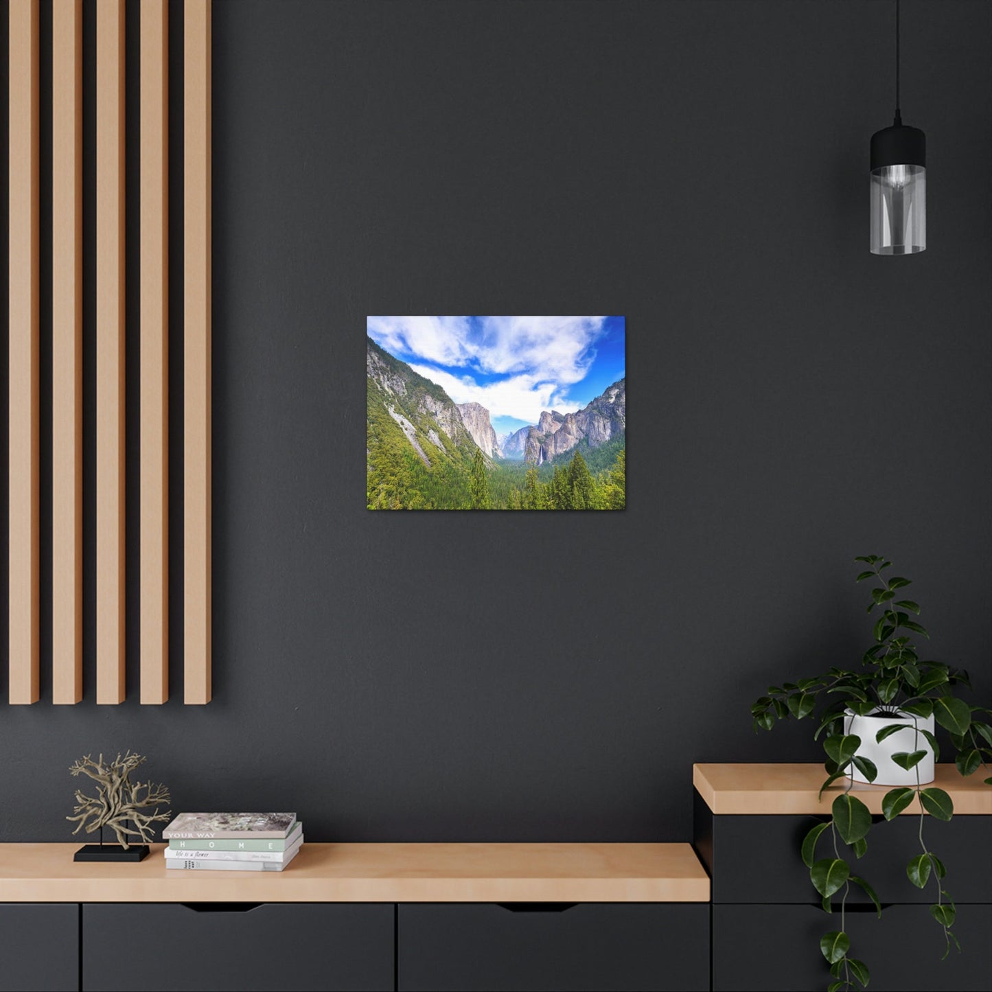 Canvas Gallery Wraps - The US National Parks - Yosemite Park - California - USA NPS - Green Forest Home