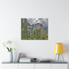 Canvas Gallery Wraps - The US National Parks - Yosemite Park - California - USA NPS - Green Forest Home