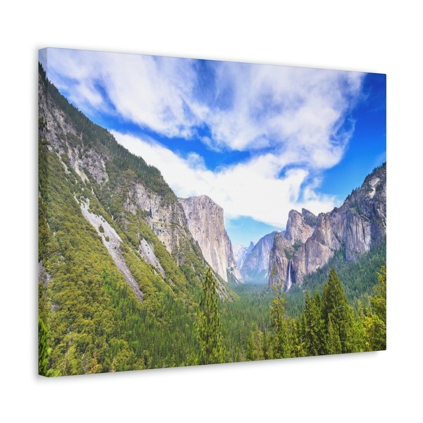 Canvas Gallery Wraps - The US National Parks - Yosemite Park - California - USA NPS - Green Forest Home