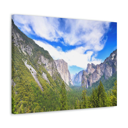 Canvas Gallery Wraps - The US National Parks - Yosemite Park - California - USA NPS - Green Forest Home