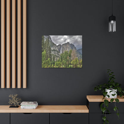 Canvas Gallery Wraps - The US National Parks - Yosemite Park - California - USA NPS - Green Forest Home
