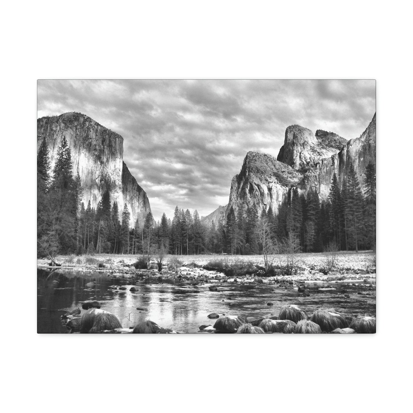 Canvas Gallery Wraps - The US National Parks - Yosemite Park - California - USA NPS - Green Forest Home
