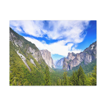 Canvas Gallery Wraps - The US National Parks - Yosemite Park - California - USA NPS - Green Forest Home