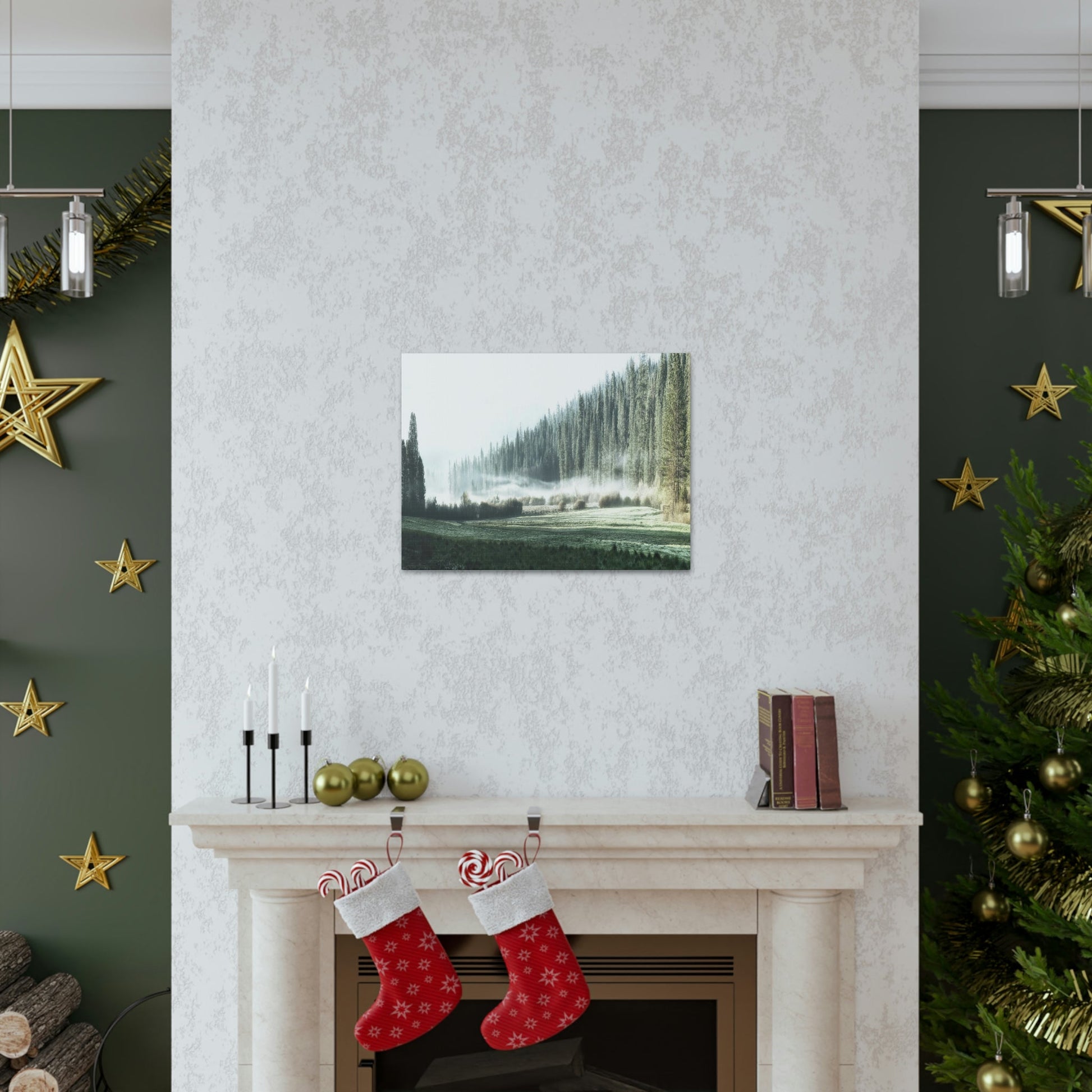 Canvas Gallery Wraps - The US National Parks - Yosemite Park - California - USA NPS - Green Forest Home