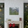 Canvas Gallery Wraps - The US National Parks - Yosemite Park - California - USA NPS - Green Forest Home