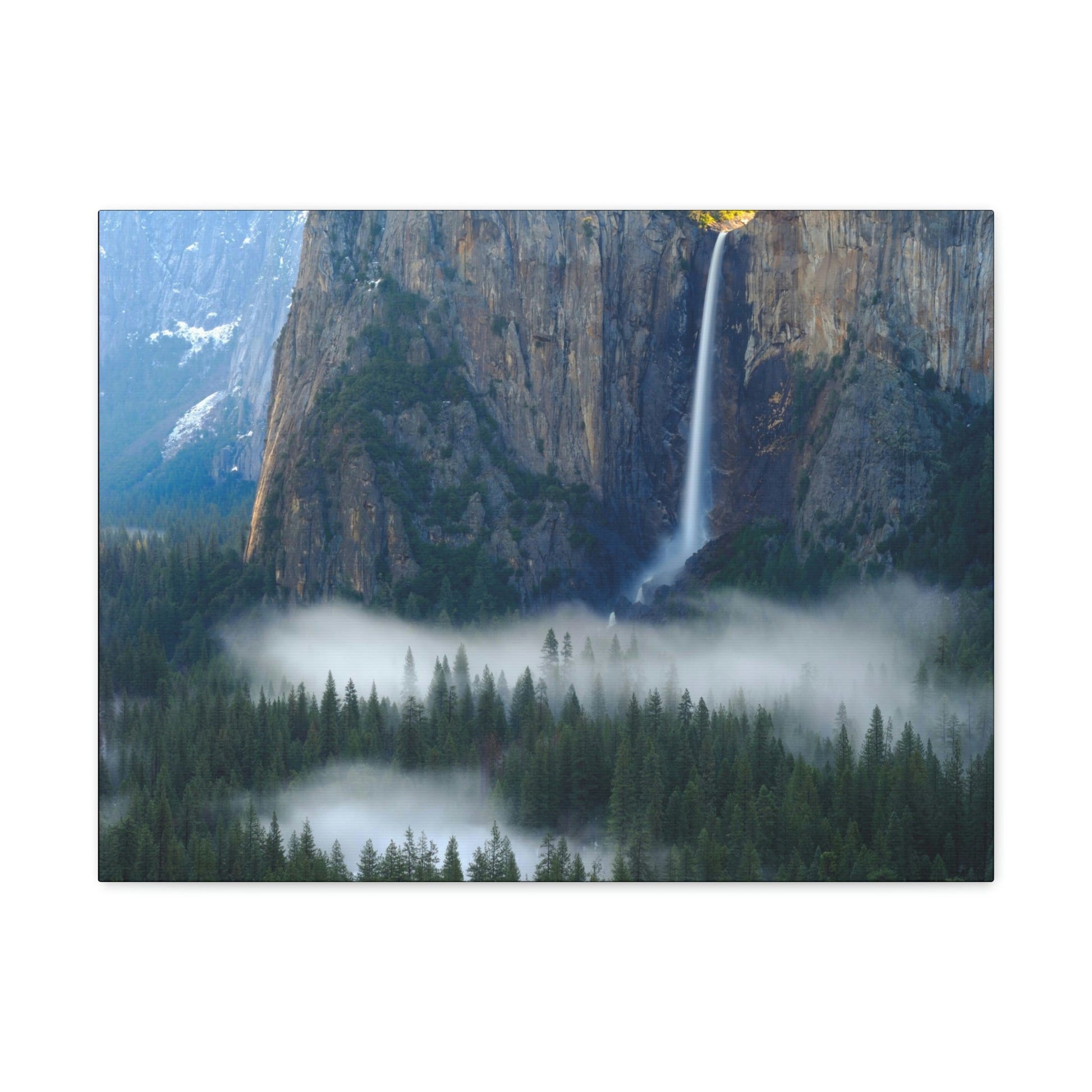Canvas Gallery Wraps - The US National Parks - Yosemite Park - California - USA NPS - Green Forest Home