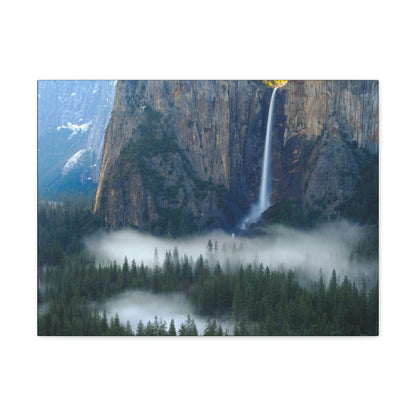 Canvas Gallery Wraps - The US National Parks - Yosemite Park - California - USA NPS - Green Forest Home