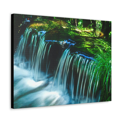 Canvas Gallery Wraps - The US National Parks - Yosemite Park - California - USA NPS - Green Forest Home