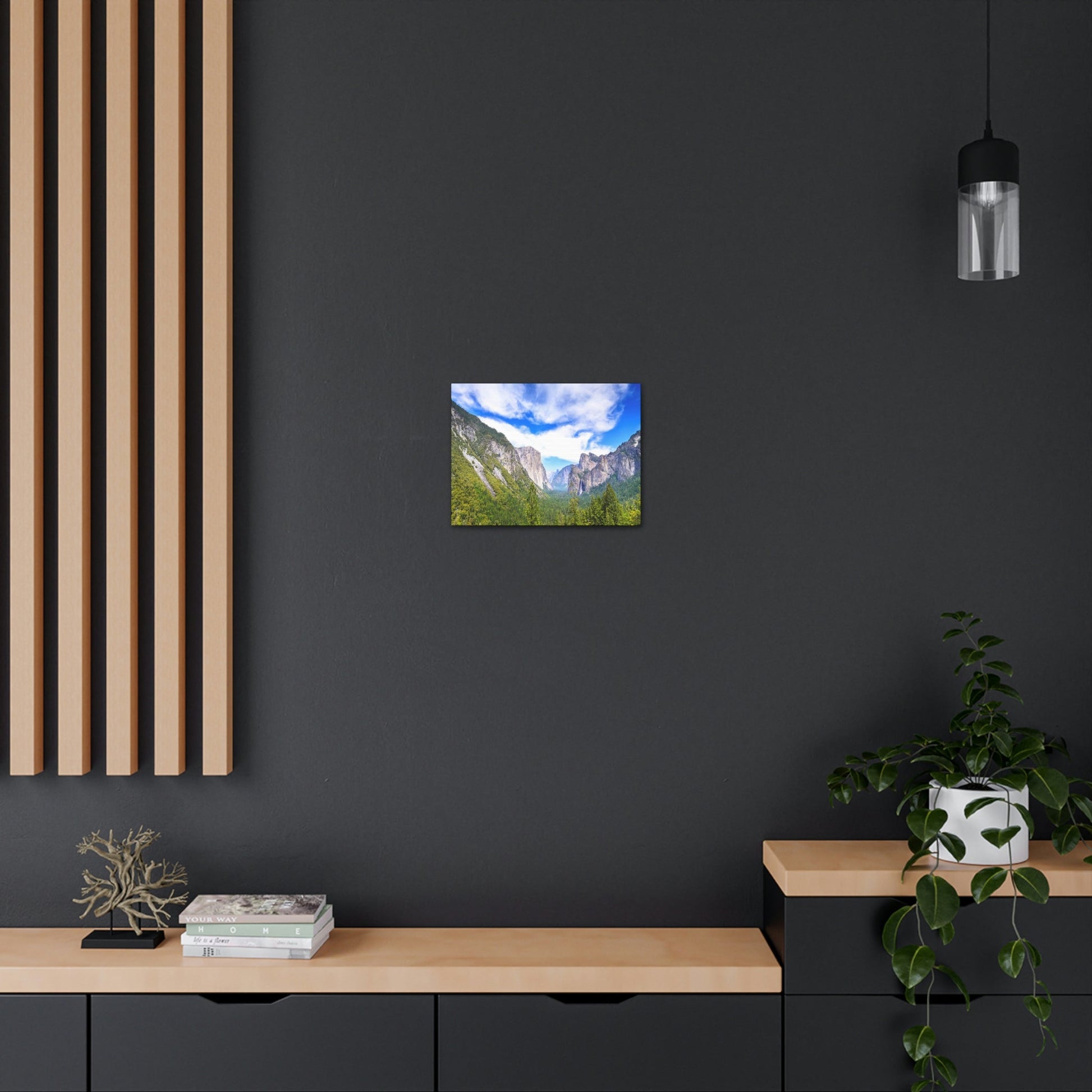 Canvas Gallery Wraps - The US National Parks - Yosemite Park - California - USA NPS - Green Forest Home