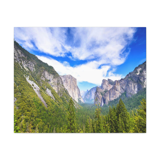 Canvas Gallery Wraps - The US National Parks - Yosemite Park - California - USA NPS - Green Forest Home