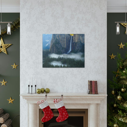 Canvas Gallery Wraps - The US National Parks - Yosemite Park - California - USA NPS - Green Forest Home