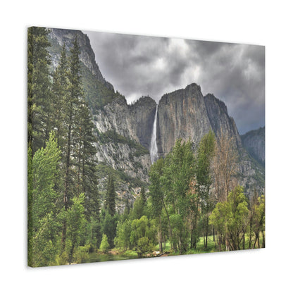 Canvas Gallery Wraps - The US National Parks - Yosemite Park - California - USA NPS - Green Forest Home