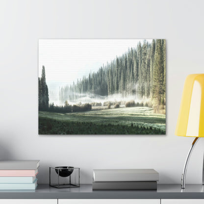 Canvas Gallery Wraps - The US National Parks - Yosemite Park - California - USA NPS - Green Forest Home