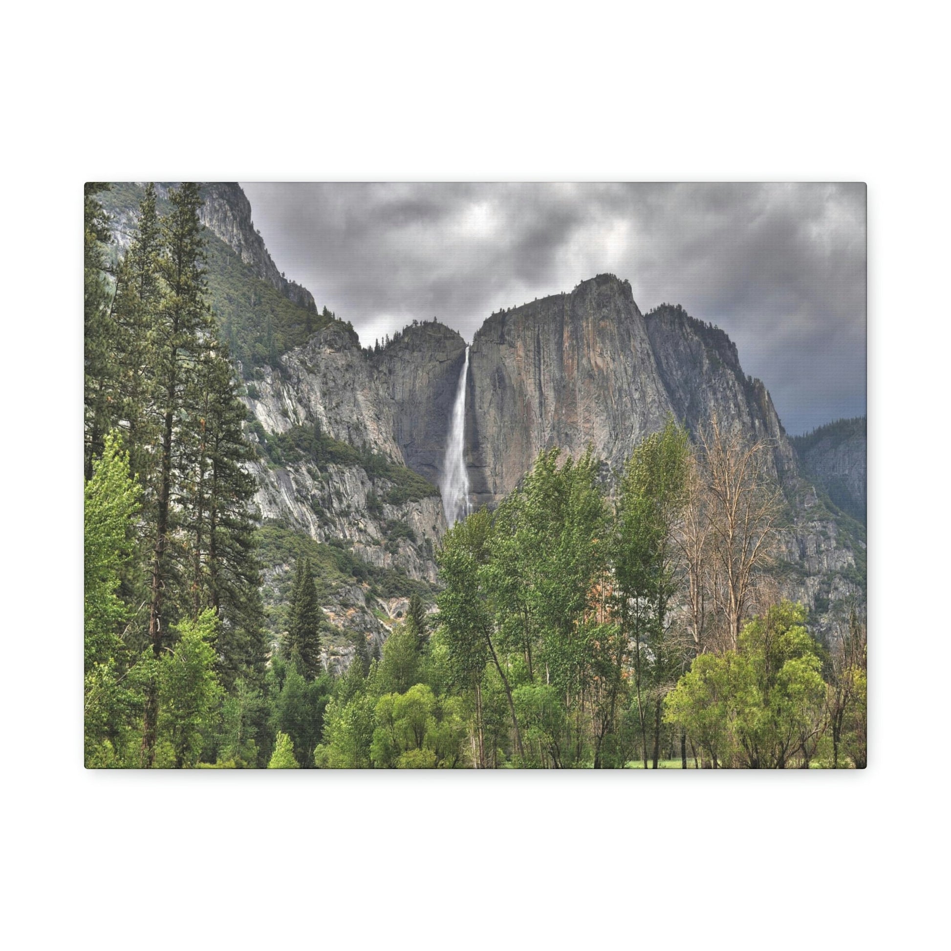 Canvas Gallery Wraps - The US National Parks - Yosemite Park - California - USA NPS - Green Forest Home