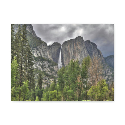 Canvas Gallery Wraps - The US National Parks - Yosemite Park - California - USA NPS - Green Forest Home