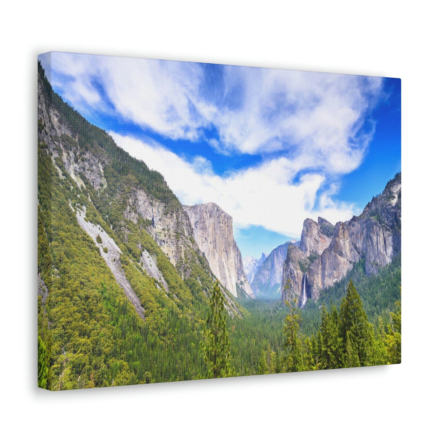 Canvas Gallery Wraps - The US National Parks - Yosemite Park - California - USA NPS - Green Forest Home