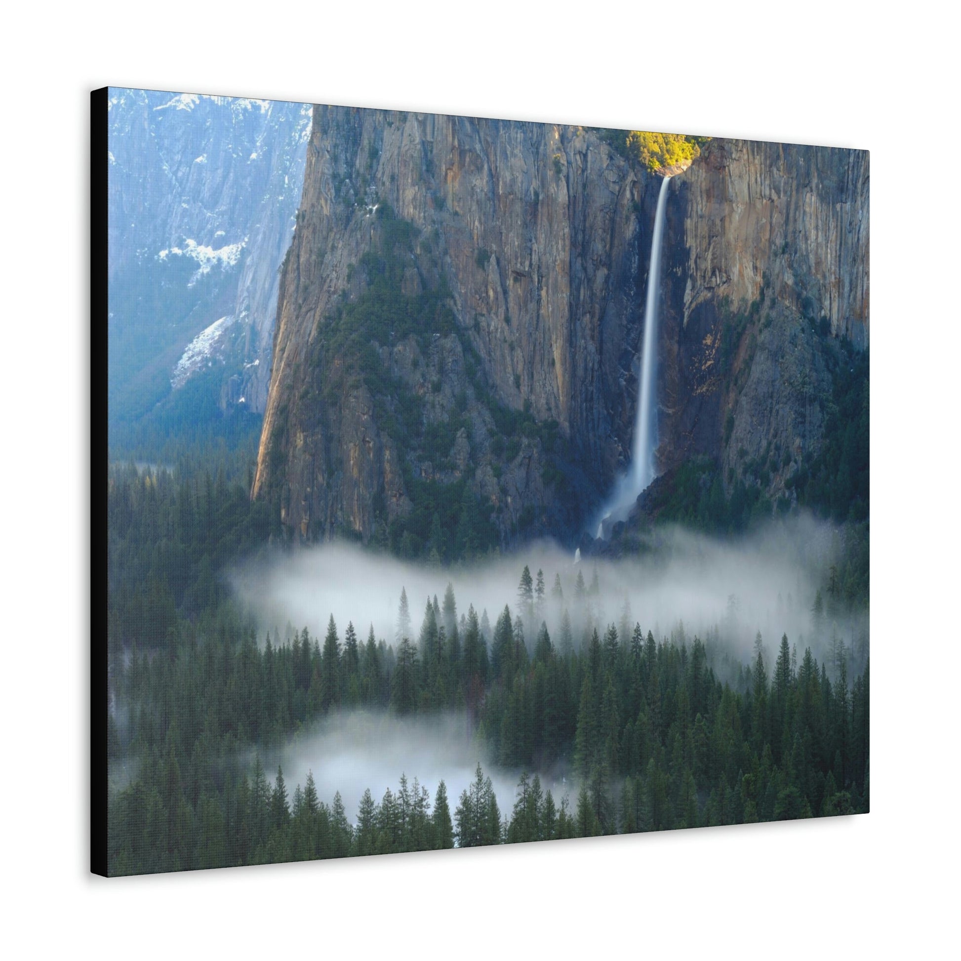 Canvas Gallery Wraps - The US National Parks - Yosemite Park - California - USA NPS - Green Forest Home