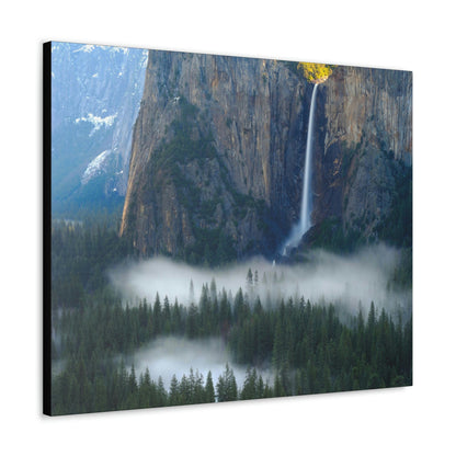 Canvas Gallery Wraps - The US National Parks - Yosemite Park - California - USA NPS - Green Forest Home