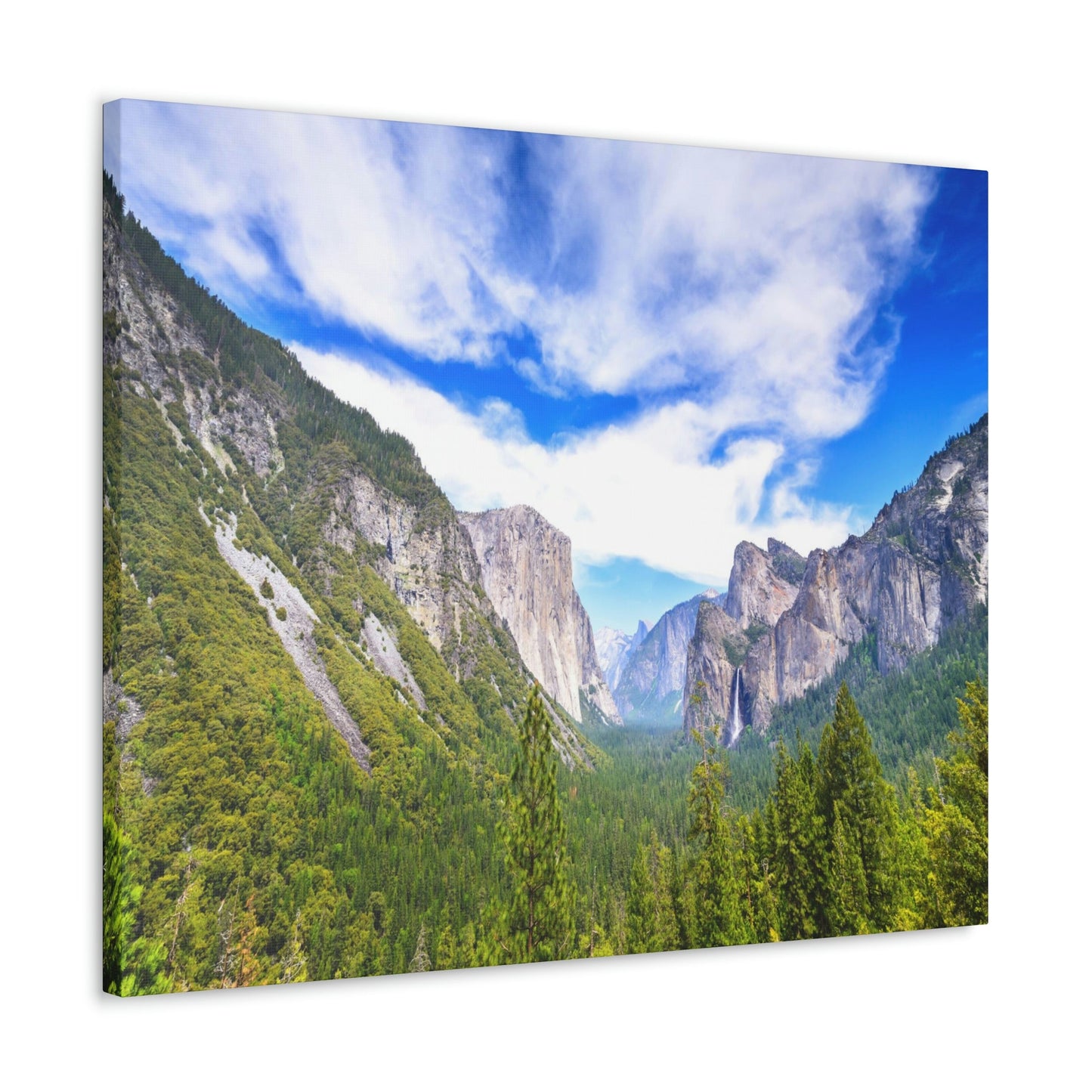 Canvas Gallery Wraps - The US National Parks - Yosemite Park - California - USA NPS - Green Forest Home