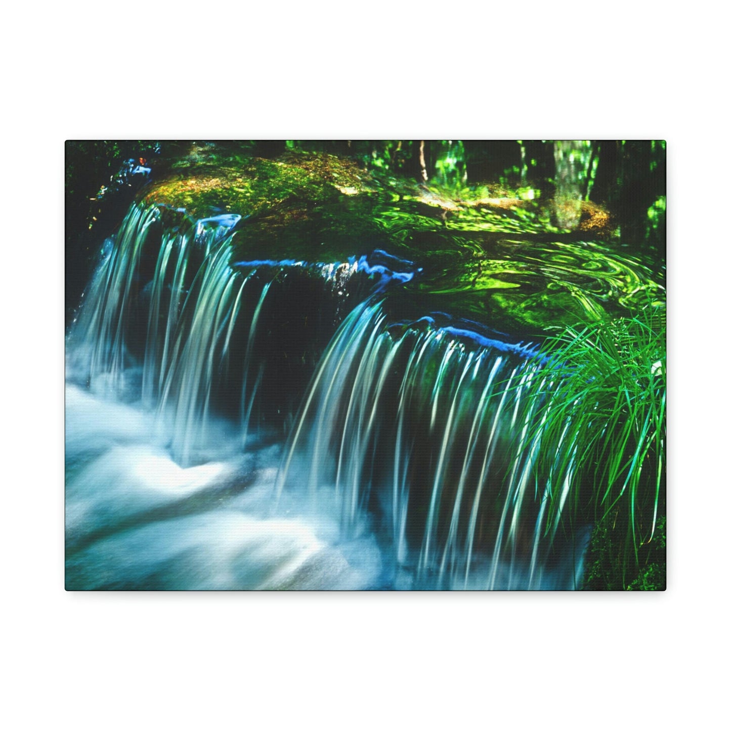 Canvas Gallery Wraps - The US National Parks - Yosemite Park - California - USA NPS - Green Forest Home