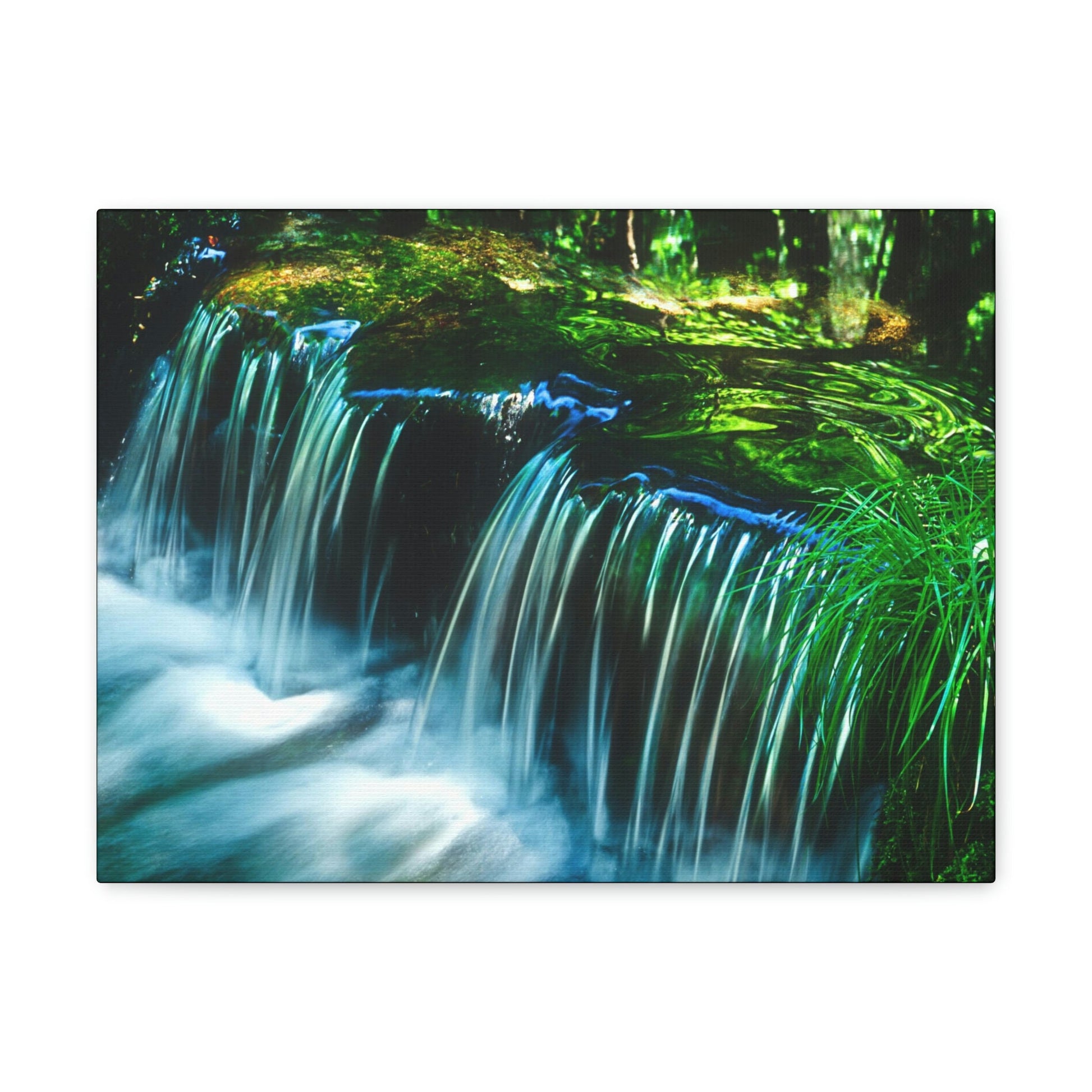 Canvas Gallery Wraps - The US National Parks - Yosemite Park - California - USA NPS - Green Forest Home