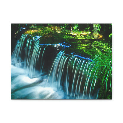 Canvas Gallery Wraps - The US National Parks - Yosemite Park - California - USA NPS - Green Forest Home